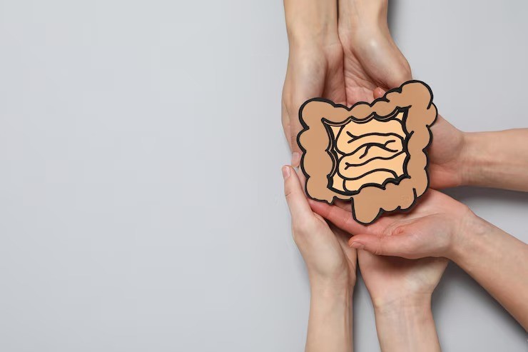 serat tidak larut air, insoluble fiber untuk sembelit, makanan sehat untuk usus, sayuran kaya serat, serat untuk ibu hamil, serat alami untuk anak, pencernaan sehat keluarga